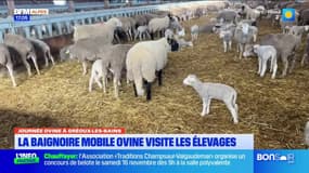 Gréoux-les-Bains: un atelier pour découvrir la baignoire mobile ovine