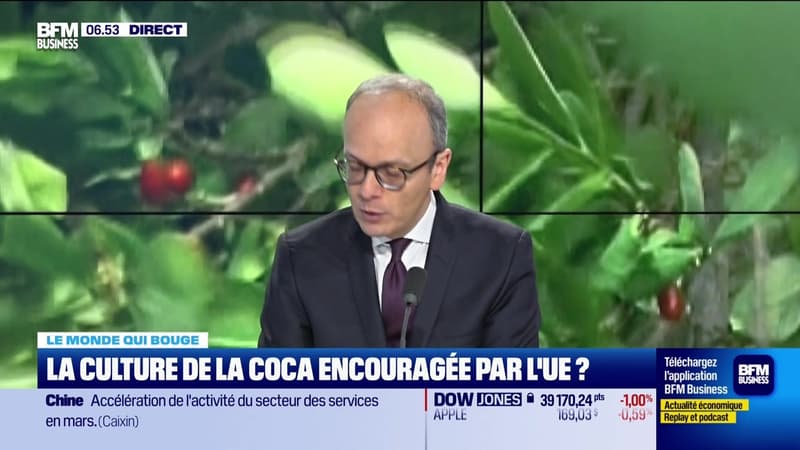Benaouda Abdeddaïm : La culture de la coca encouragée par l'UE ? - 03/04