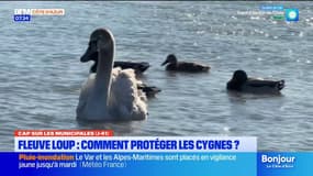 Villeneuve-Loubet : La mairie veut un poste de garde-champêtre pour surveiller une zone protégée