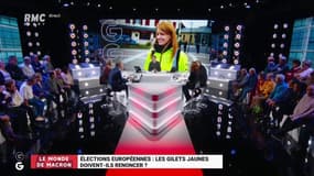 Liste des #GiletsJaunes aux Européennes : "Cette fameuse liste sert objectivement la liste #Macron. Dans un mouvement qui se veut apolitique, c'est difficile de vouloir faire de la politique !" @GWGoldnadel #GGRMC 