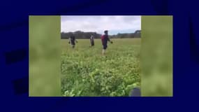 Vidéos des cyclistes allant à la rencontre des chasseurs