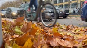 Des tas de feuilles mortes jonchent les rues de Paris en ce mois de novembre, comme hier, mardi 19 novembre dans le 15e arrondissement. 