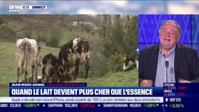 Italie: quand le lait devient plus cher que l’essence