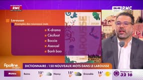 3 questions pour comprendre : "Asexuel", "glamping"… les nouveaux mots du Larousse - 24/04
