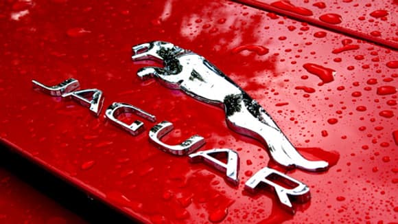 Le F-Type est digne du fameux emblème Jaguar.