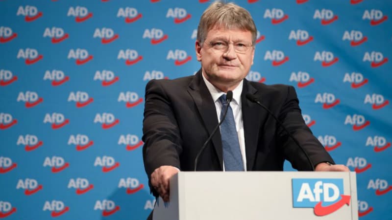 Jörg Meuthen le président de l'AFD le 11 janvier 2019