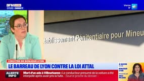 "La délinquance des mineurs baisse": une avocate évoque l'efficacité de la justice