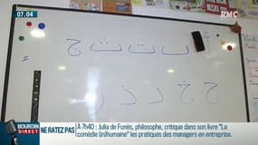 Pourquoi la langue arabe est-elle très peu enseignée en France?