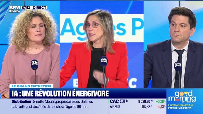 Budget: Agnès Pannier-Runacher défend un budget de l'écologie 