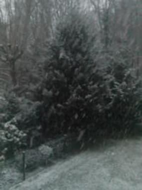 Il neige en Eure-et-Loir - Témoins BFMTV