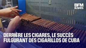  Derrière les cigares, le succès fulgurant des cigarillos de Cuba 
