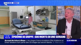Épidémie de grippe : l'alerte des soignants - 18/01