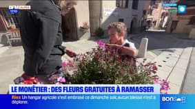 Le Monêtier : des fleurs gratuites à ramasser
