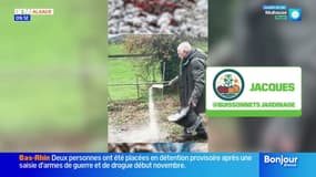 Conseil jardinage : les cendres - La météo de Colas du mardi 25 novembre 2025