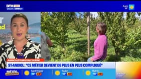 Le journal de 8h du vendredi 26 septembre 2025 