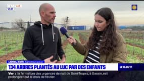 Var: 134 arbres plantés par des enfants au Luc