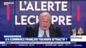 Emmanuel Lechypre : Le E-commerce français toujours attractif ? - 25/01