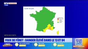 Feux de forêt : danger élevé dans le 13 et le 84