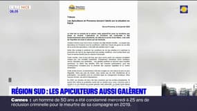 Provence-Alpes-Côte d'Azur: les apiculteurs aussi en difficulté