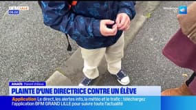Trélon: un enfant au comportement violent terrorise son école