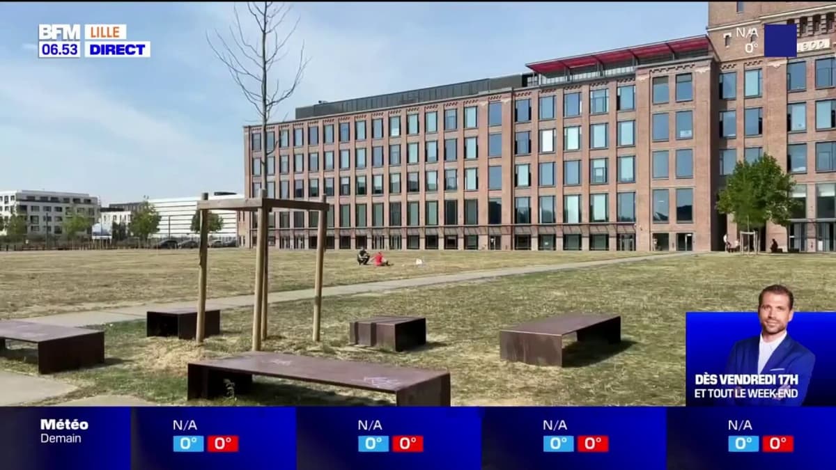 placeholder video