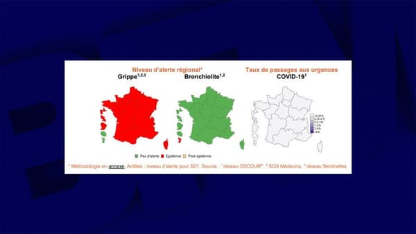 Niveaux d'alerte pour la grippe et la bronchiolite et le taux de passage aux urgences pour le Covid-19 la semaine du 19 au 25 février 2024