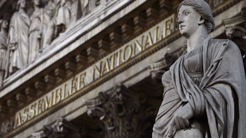 Le fronton du palais Bourbon, qui abrite l'Assemblée nationale, le 16 novembre 2010 à Paris. (Photo d'illustration)