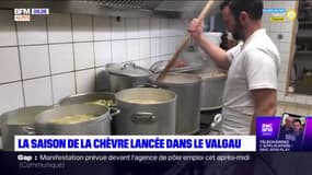 Valgaudemar : La chèvre salée de retour ! 