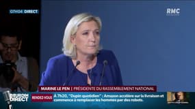 Marine Le Pen appelle les "gilets jaunes" à voter pour le RN