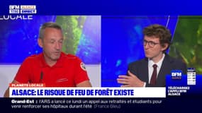 Planète locale du lundi 19 juin - Alsace : le risque de feu de forêt existe