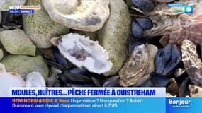 Le journal de 8h du jeudi 27 novembre 2025