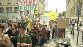 "Monsanto, entreprise criminelle", les manifestants n'ont pas de mots assez durs contre l'entreprise américaine.