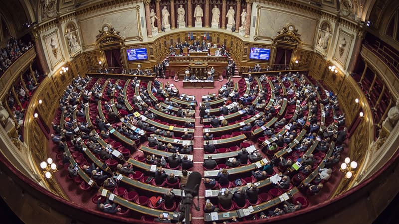 Un nouveau groupe de droite s'est créé au Sénat (Illustration).