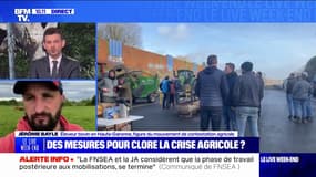 Crise agricole: pour Jérôme Bayle, "il manque encore des mesures" pour pouvoir "dire que c'est fini"