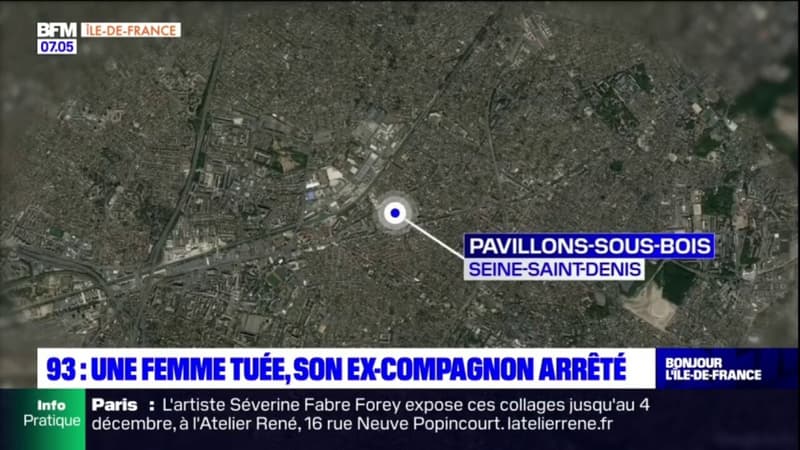 Pavillons-sous-Bois: une femme a été retrouvée morte, son ex-compagnon interpellé