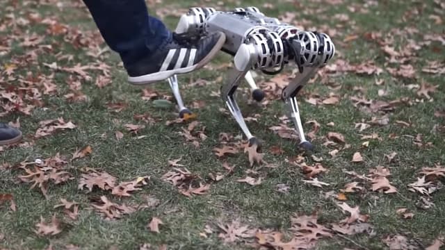 Le Mini Cheetah, dernier né des robots du MIT.