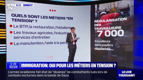 LES ÉCLAIREURS - Ce que changerait la régularisation par le travail sur la situation des personnes sans papiers 