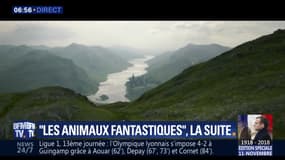 Les Animaux fantastiques, la suite