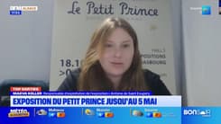 Top Sorties Alsace du vendredi 22 novembre - Le Petit Prince à l'honneur à Strasbourg