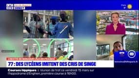 Seine-et-Marne: le maire de La Ferté-sous-Jarre s'exprime sur les blackfaces polémiques de lycéens