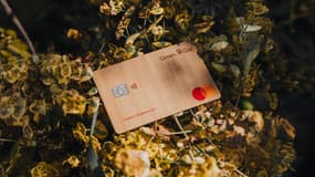 Finance verte : les nouveaux produits Green-Got séduisent les investisseurs exigeants