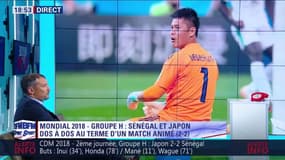 Mondial 2018 : « Le Sénégal et le Japon ont manqué d’équilibre » regrette Ducrocq