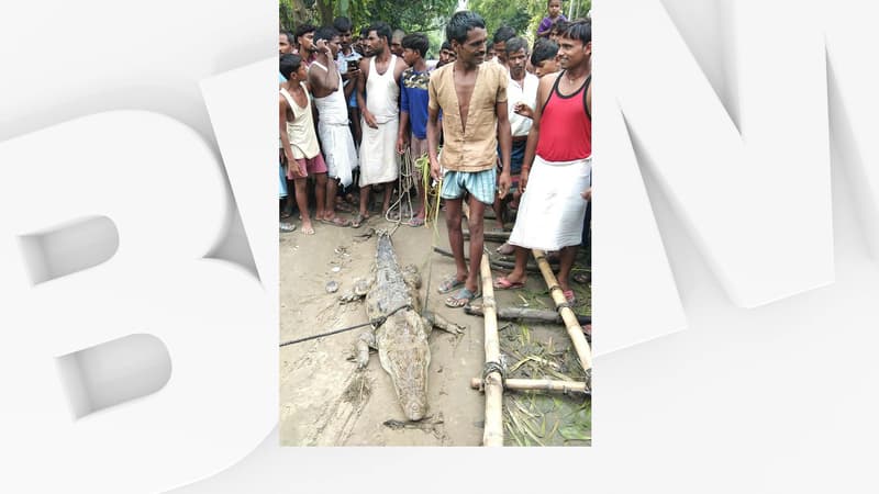 Les habitants du village indien avec le crocodile en question, le 9 septembre dernier.