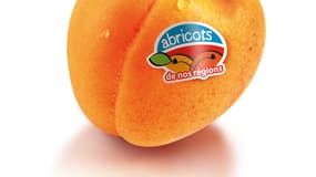 Les abricots doivent être achetés mûrs.