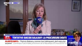 Balkany: la procureure de l'Eure confirme des "versements additionnés de 2000 euros" sur les millions dus au fisc