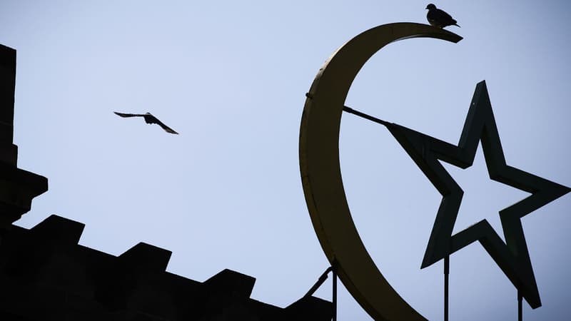 Un oiseau survole la Grande Mosquée de Paris.