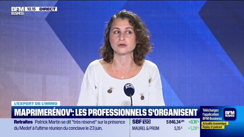 Les Experts de l'immo : MaPrimeRénov', les professionnels s'organisent - 18/06
