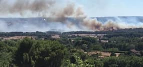 Feu de forêt dans les Bouches-du-Rhône - Témoins BFMTV