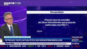 Les questions: Pouvez-vous me conseiller des Sicav internationales que je pourrais mettre dans mon PEA ? - 11/10