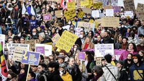 Entre 1.500 à 2.000 ont défilé à Lille ce dimanche 21 novembre contre les violences sexistes et sexuelles selon les organisatrices, 950 d'après la préfecture.